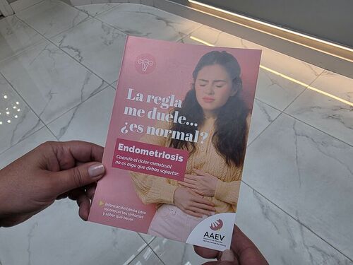 Farmacias valencianas contribuyen a visibilizar la endometriosis, enfermedad que afecta a millones de mujeres Farmacias valencianas contribuyen a visibilizar la endometriosis, enfermedad que afecta a millones de mujeres